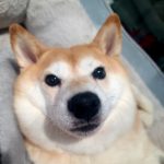 Ảnh hồ sơ của Trần Thị Nhung