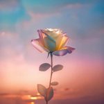 Ảnh hồ sơ của Ngọc Ánh